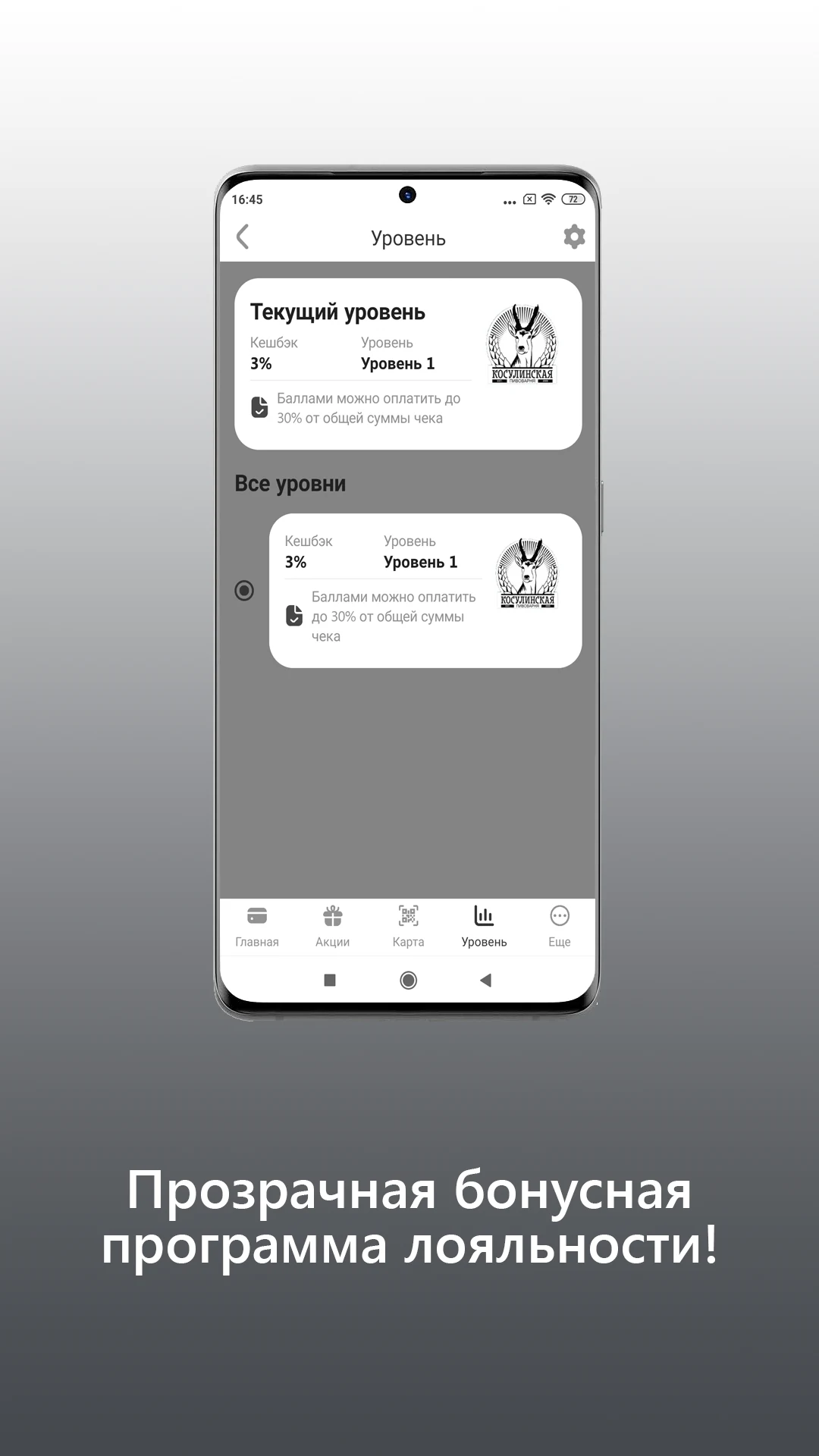 Косулинская Пивоварня screenshot